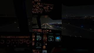 Airbus A319 Landing at JFK Airport  Smooth Touchdown & Approach #JFK#cockpitview#landing#pilot