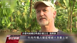 亞馬遜雨林消失 疫情嚴峻 巴西兩頭燒 20200629 公視早安新聞