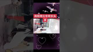 #上热门 #收长头发剪长辫子 #同城优先推荐 #现场实拍 #同城热门 @抖音创作小助手 @DOU+小助手 @抖音热榜🔥 @抖加上热门