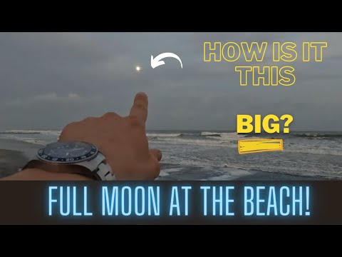 Photo and Content Day at Folly Beach