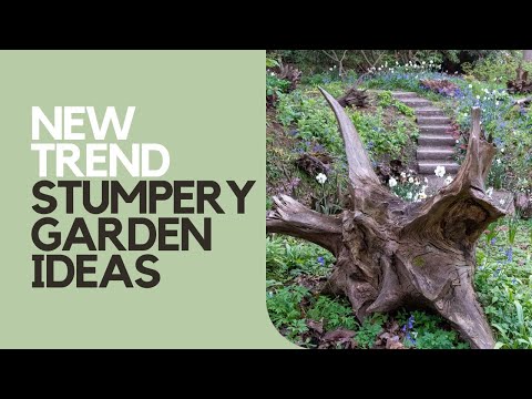 Transform a shady corner of your garden with a stunning stumpery