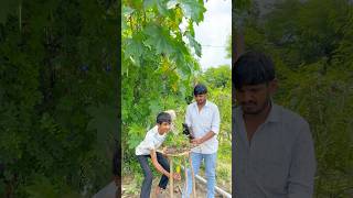 Farming ☘️❤️ #trending #instagram #viral #shorts #india #villagelife #kisan #kheti #youtube
