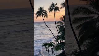 #life is a #wave, catch it #beherenow #beautiful #ocean #sunset #musicshort #meditation = #presence