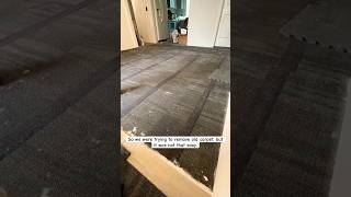 Try 🆕 subfloor for carpet! #2024 #construction #progress #carpet #subfloor