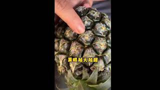 菠蘿怎麼選? #菠蘿 #天然食物 #夏天的味道