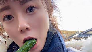 🇯🇵Osaka 八坂神社、二年坂、醃小黃瓜🥒、燒肉、稻荷神社⛩️