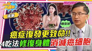 癌症復發更致命!! 4吃法修復身體消滅癌細胞 ft. 醫學博士 陳俊旭【 小宇宙大爆發 】