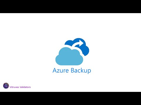 Vitruveo Validators | Azure | How to schedule backups?