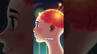 How do you hear high-pitched sounds?