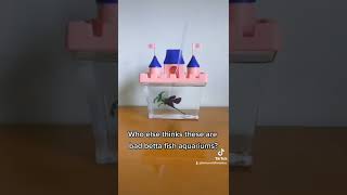 These under 1 gal aquariums are marketed specifically for bettas (they need 5+gal, filter & heater)