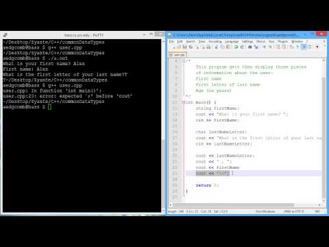 Programming example: Common data types