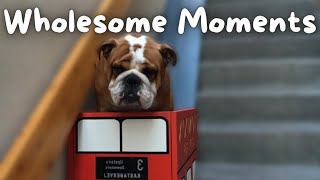 This IDEA could be WORTH MILLIONS 😱 | Wholesome Moments