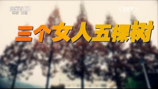 基层纪事三个女人五棵树  【中国武警  20160306】