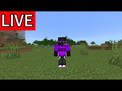 【マイクラ】ぼくと友とえんがわ島‼️