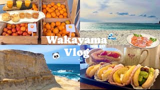 和歌山旅行vlog🐼 【穴場から定番観光スポットまで】南紀白浜ホテルビュッフェ🪽円月島　千畳敷　とれとれ市場🐟かげろうcafe🍓有田みかん🍊ボルトヨーロッパ🏰