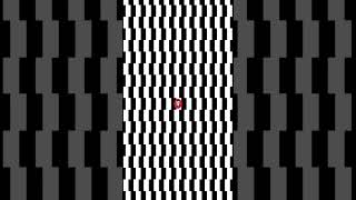 I Tested The Most Viral Optical Illusions
