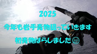 2025 岩手青物チャンネル始動