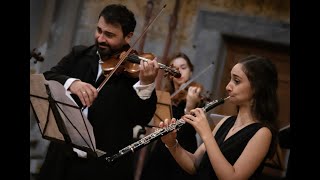 J.S.Bach Concerto for Oboe & Violin in D minor BWV 1060