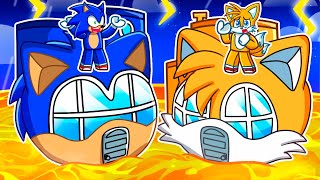 Sonic & Tails HOUSES vs DISASTERS in Roblox!