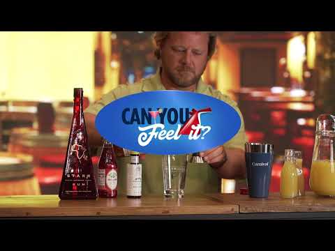 Can You Feel It? | Red Frog Pub Rum Jumper | Carnival Cruise Line