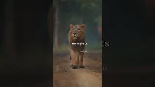 No regrets keep pushing 🦅