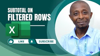 Subtotal on Filtered Rows#exceltutorial #excel