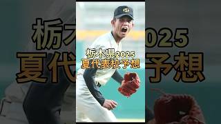 栃木県2025夏代表校予想#shorts#栃木#高校野球#甲子園