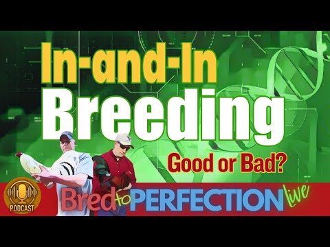 Ep170 - In-and-In Breeding: Balancing Purity and Diversity