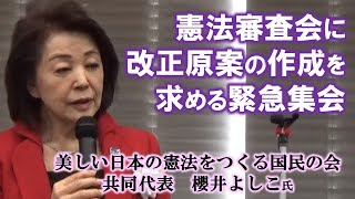 憲法審査会に改正原案の作成を求める緊急集会　櫻井よしこ氏