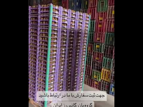 #KiwiExport #IranExport #QatarTrade #AgricultureExport #FreshFruit #InternationalTrade #Export