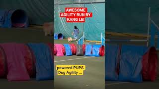 Awesome Dog Agility run by Team Kang Le. What a great performance in good flow, speed and control.