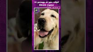 38 நாய்களுடன் நடைபயிற்சி கின்னஸ் சாதனை..!! | AI News VTV | AI News Reader