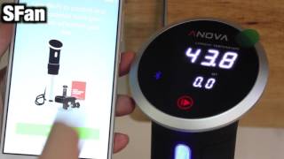 Anova Precision Cooker sous vids 舒肥機