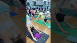Downward facing dog @yogadreams9233  #yoga #yogaskills #yogalife #yogamusic #yogapractice #shorts