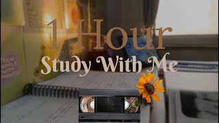 🍃1 Hour STUDY WITH ME| Soft Brown Noise| 🌇 Sunset to Night 🌆