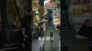 東京涩谷（Shibuya）是日本新文化的发源地，義犬八公等待你的到來