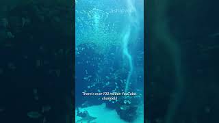 Xpark Aquarium