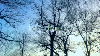 forest maze 森のキノコにご用心