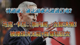 【新总理经济无能+性罪犯旧交❓❗️】马克·卡尼被爆经济无能+性罪犯旧交。马克：新内阁，立刻决策；特朗普：是让加拿大给我们供电？
