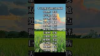 【星座排行榜】十二星座学习差颜值高