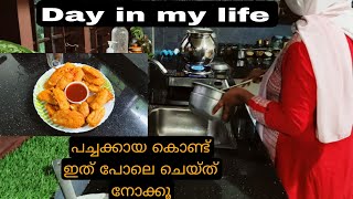 പച്ചക്കായ കൊണ്ട് ഇത് പോലെ ചെയ്ത് നോക്കൂ കിടിലൻ ടേസ്റ്റിലൊരു വിഭവം😋 haifa kitchen daily vlog