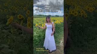 #japan #japanvlog #travel #hyogo #sunflower #wheretovisitthissummer #sunflowerfield #positivevibes