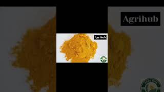 National Turmeric Board #Tumeric farm#IndianFarmers #AgriExport #OrganicTurmeric #HaldiExpo
