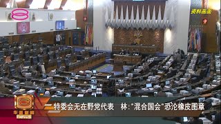 【特委会无在野党代表  林:"混合国会"恐沦橡皮图章】
