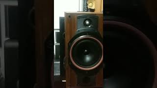 Vintage Bowers & Wilkins DM310 Bookshelf speakers ,2way2driver,2路8吋低書架喇叭
