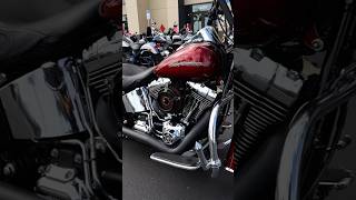 Why You Never See The Softail Deluxe