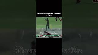 this match Tamim Iqbal cooked west India #shorts #viral #viralshorts #tamimiqbal #tigerscricketeditz