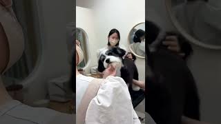 Funny Tiktoks#Tiktok #FunnyTiktok #TiktokMeme