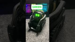 hey vector..!! #robotai #vectorrobot #digitaldreams #review #cute #xuhuong