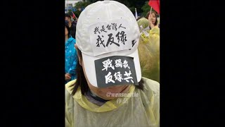 反綠共戰獨裁、為正義站出來、我是台灣人、我反綠